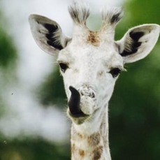 View image on Twitter