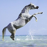 Par Artur Baboev (Travail personnel) [CC BY-SA 3.0 (http://creativecommons.org/licenses/by-sa/3.0)], via Wikimedia Commons