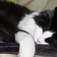 Photo d'illustration - via Pixabay